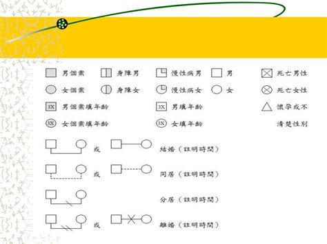 家庭關係圖|附免費範本的免費家系圖製作工具